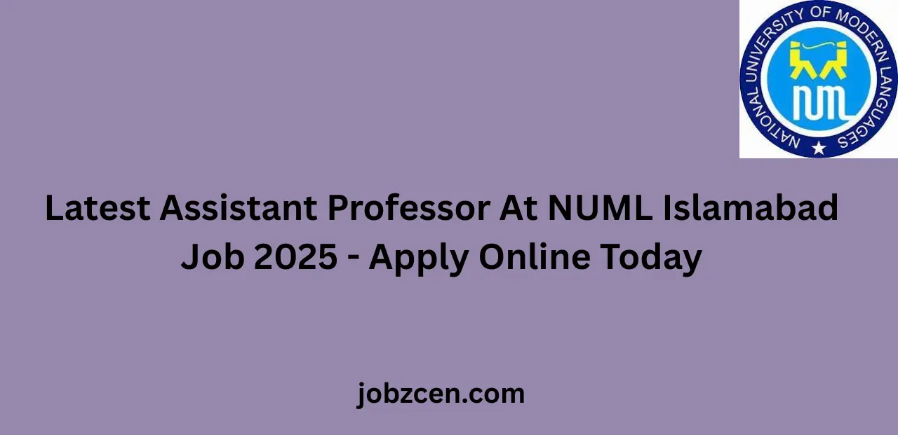 Latest Assistant Professor At NUML Islamabad Job 2025 Apply Online Today